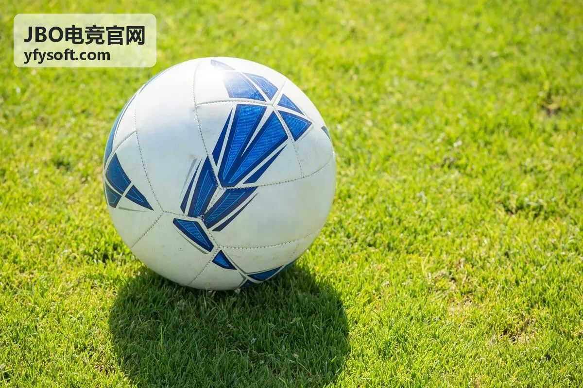 JBO电竞官网国际锦标赛案例